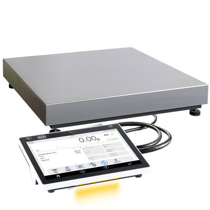 Precision balance PS CY 10 RADWAG