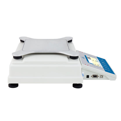 Precision balance PM C32 RADWAG